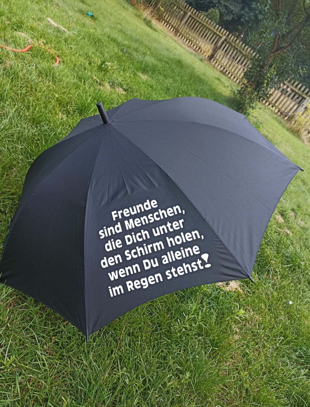 Schirm